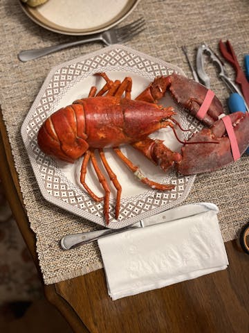 Live Maine Lobster photo review