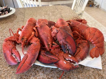 Live Maine Lobster photo review