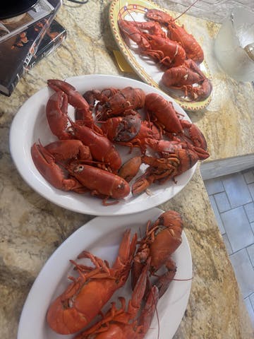Live Maine Lobster photo review