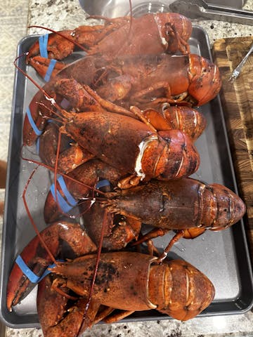 Live Maine Lobster photo review
